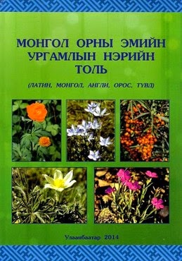 Монгол орны эмийн ургамлын нэрийн толь